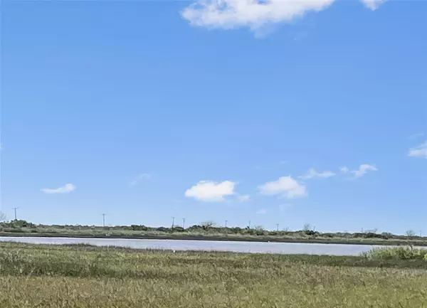 LOT 2 Fm 2918, Brazoria, TX 77422