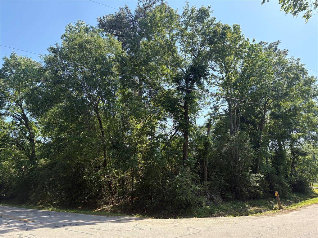 LT 25 Moss Forest DR, Houston, TX 77090
