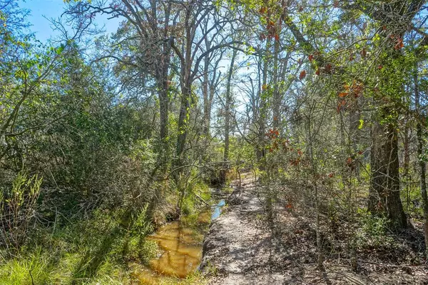 Bedias, TX 77831,Lot 5 County Rd 229