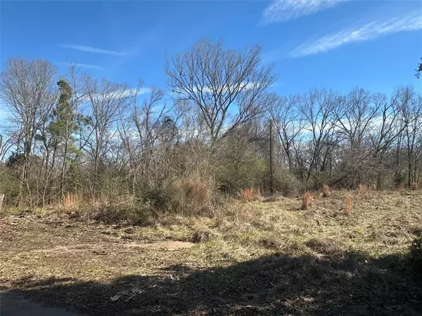 Buffalo, TX 75831,2AC Josie LN