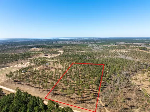 Livingston, TX 77351,TBD Lot 11 Red Lowe RD