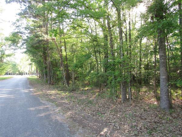 New Caney, TX 77357,Lots 322 & 323 Magnolia Lane