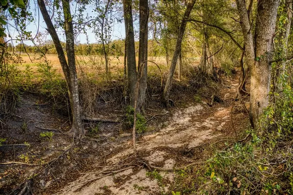 Brenham, TX 77833,Lot 1 Sandy Hill RD