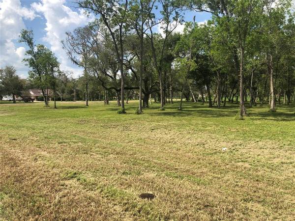 3018 Oakwood Shores DR, Richwood, TX 77515