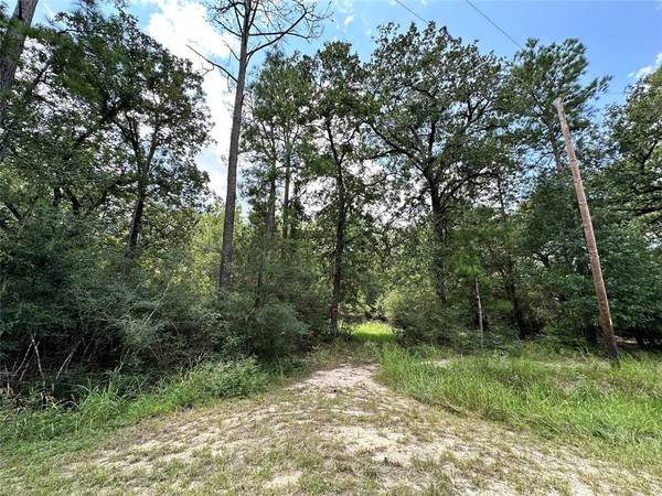 Lot 152 Nottingham Circle, Hockley, TX 77447