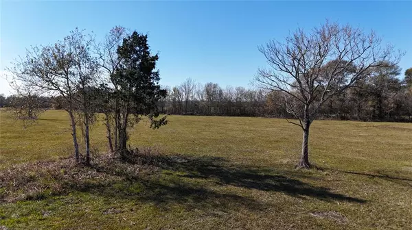 Algoa, TX 77511,LOT 5 RYMAL RANCH RD