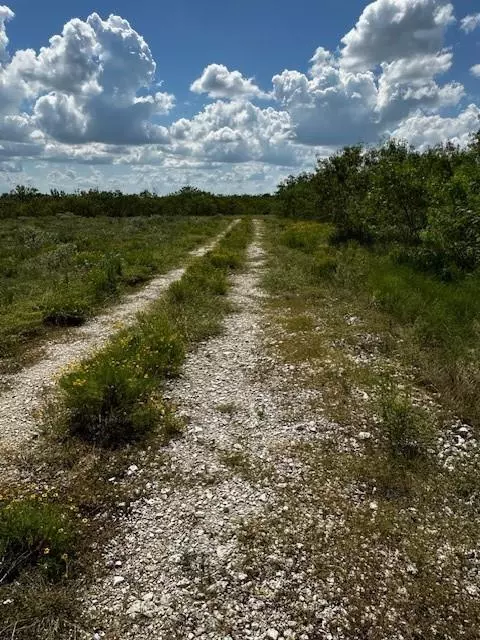 Waelder, TX 78959,TBD Private Road