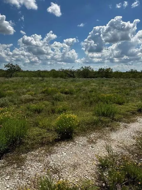 Waelder, TX 78959,TBD Private Road