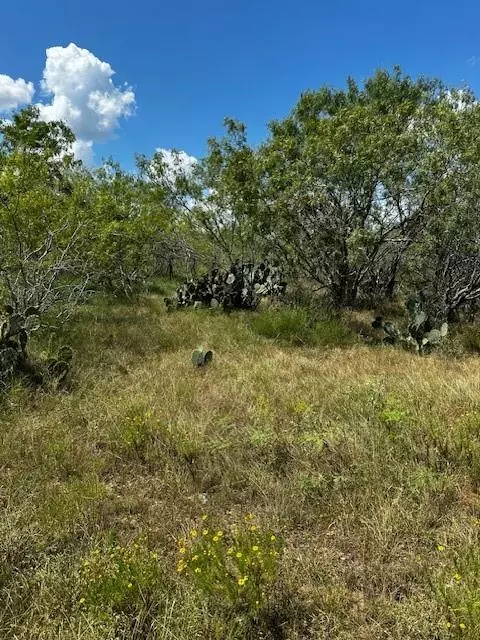 Waelder, TX 78959,TBD Private Road