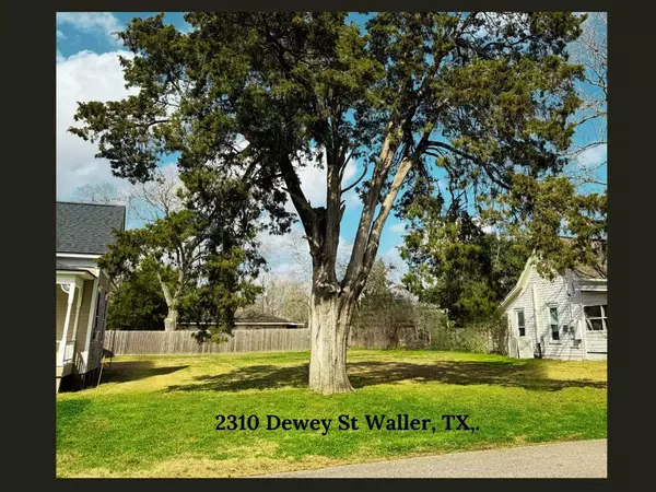 2310 Dewey ST, Waller, TX 77484