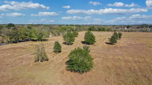 Bedias, TX 77831,Lot 10 County Rd 229