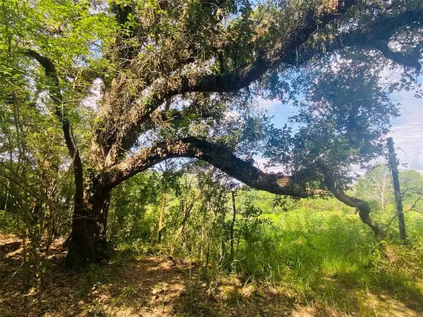 Columbus, TX 78934,260 Acres CR 103