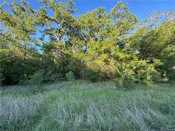 Somerville, TX 77879,Lot 189 Burr Oak Ln