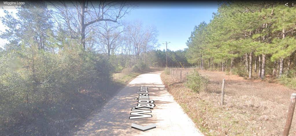 Livingston, TX 77351,TBD Davis Lot 29