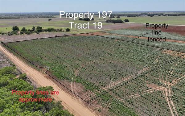 Tract 19 CR  136, Floresville, TX 78114