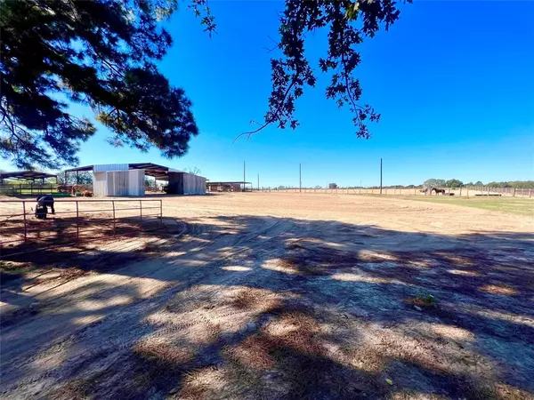 Grapeland, TX 75844,3519 County Road 2345