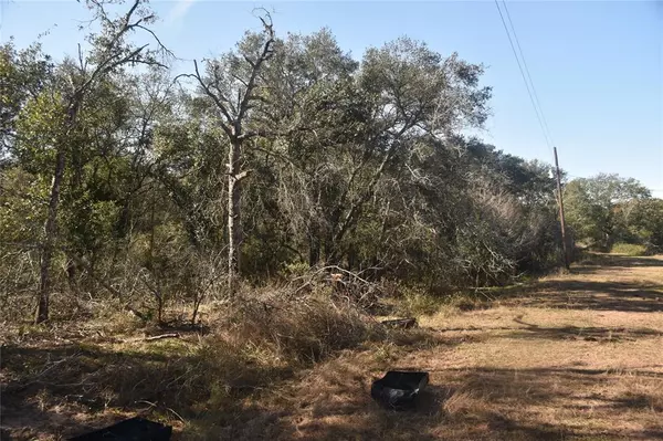 Edna, TX 77957,0000 COUNTY ROAD 14A/PVT 1072 TX