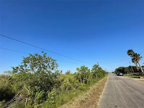 Sargent, TX 77414,LOT 202 CR 299 Heron ST