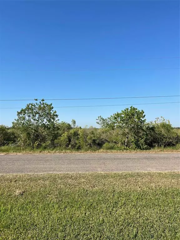 Sargent, TX 77414,LOT 202 CR 299 Heron ST