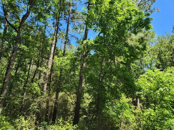 Plantersville, TX 77363,Lot 75 Pinebrook DR