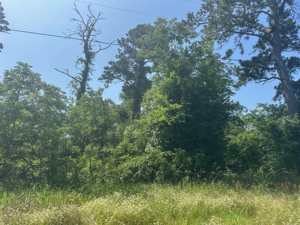Point Blank, TX 77364,Lot 10 & 11 Fm 980 S