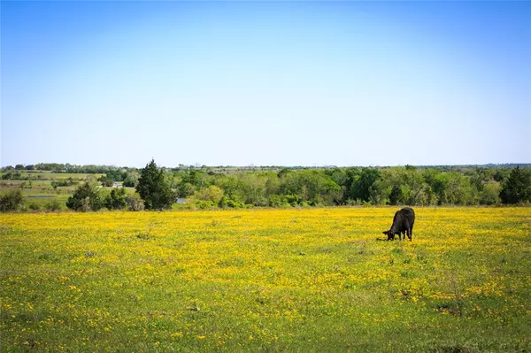 177 Acres Chadwick Hogan Road, Chappell Hill, TX 77426