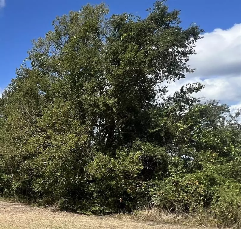 Dallardsville, TX 77332,Lot 17 and 18 Hickory DR E