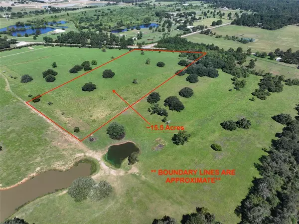 Hockley, TX 77447,26039 Magnolia LOT 3 RD