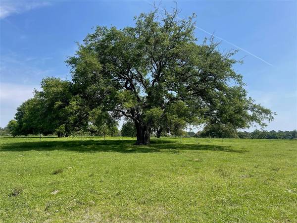 26039 Magnolia LOT 3 RD, Hockley, TX 77447