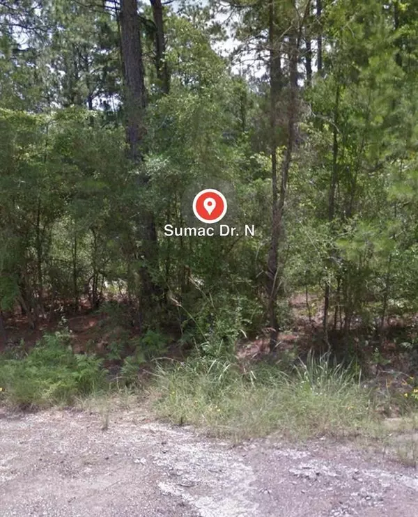 Brookeland, TX 75931,0 SUMAC LOT 25 DR