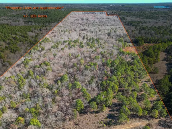 Daingerfield, TX 75638,2113 CR Jerusalem RD