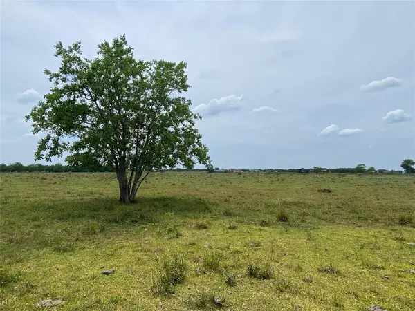 0 Lot 11, County Road 382, Rosharon, TX 77583