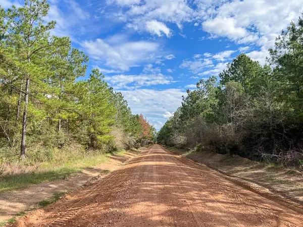 Livingston, TX 77351,4 Timber Road