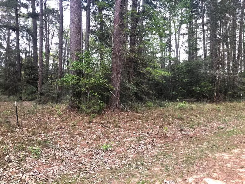 Lot 512 Pine Shadow DR, Coldspring, TX 77331