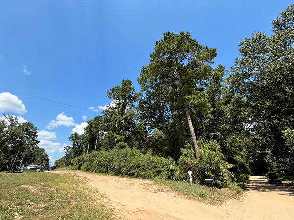 186 Lincoln DR, Livingston, TX 77351