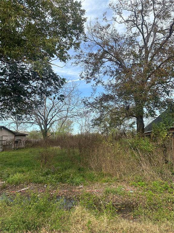 Fresno, TX 77545,718 1/2 Cleo ST