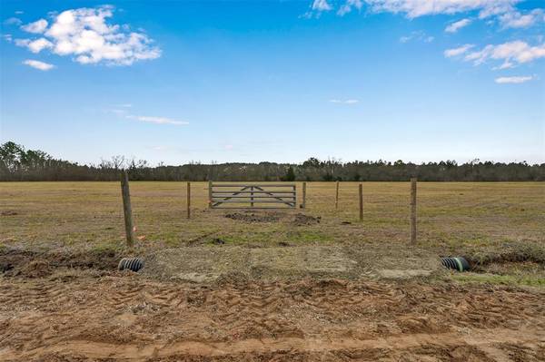 New Waverly, TX 77358,TBD Whispering Pines RD