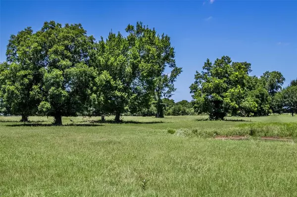 Caldwell, TX 77836,11592 County Road 318