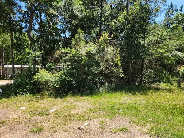 Plantersville, TX 77363,Lot 10 Sweetleaf LN