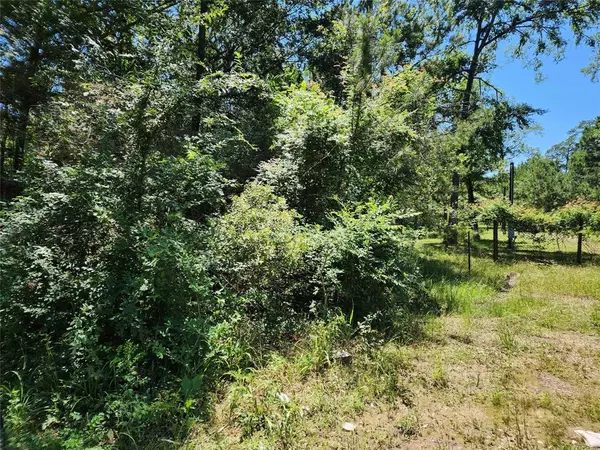 Plantersville, TX 77363,Lot 10 Sweetleaf LN