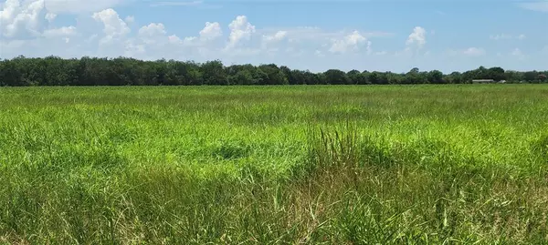 Needville, TX 77461,0 Whitetail Xing XING