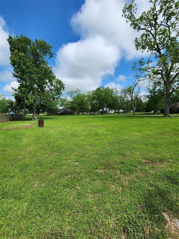 Boling, TX 77420,0 Boling Dome DR