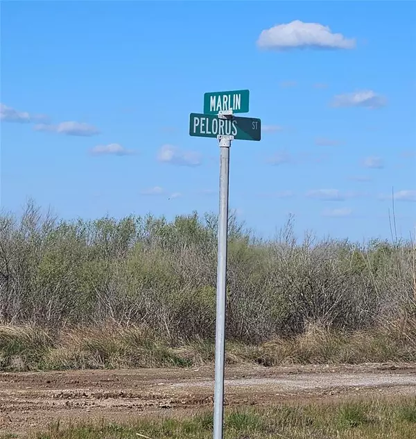 Sargent, TX 77414,Sect. 15, Lot 641 Pelorus ST