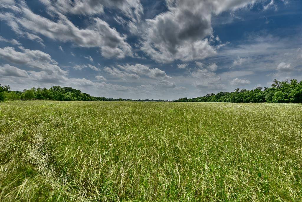Lot 17 River Haven Dr, Navasota, TX 77868