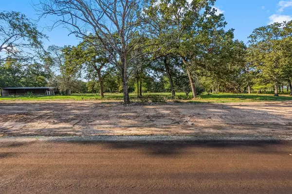 New Waverly, TX 77358,Lot 3 Alans Memorial Lane