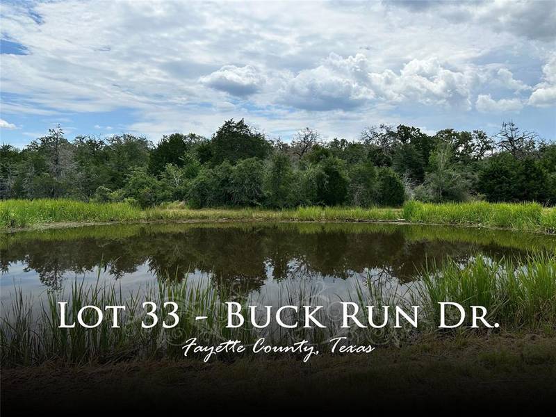 000 Buck Run DR, Cistern, TX 78959