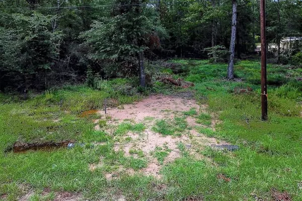 Livingston, TX 77351,Lot 218 Ramblewood