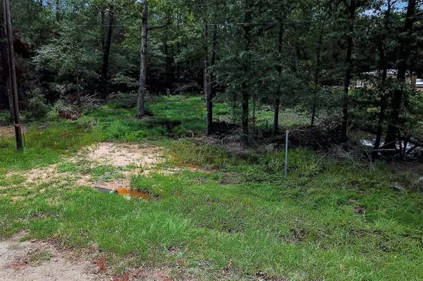 Livingston, TX 77351,Lot 218 Ramblewood