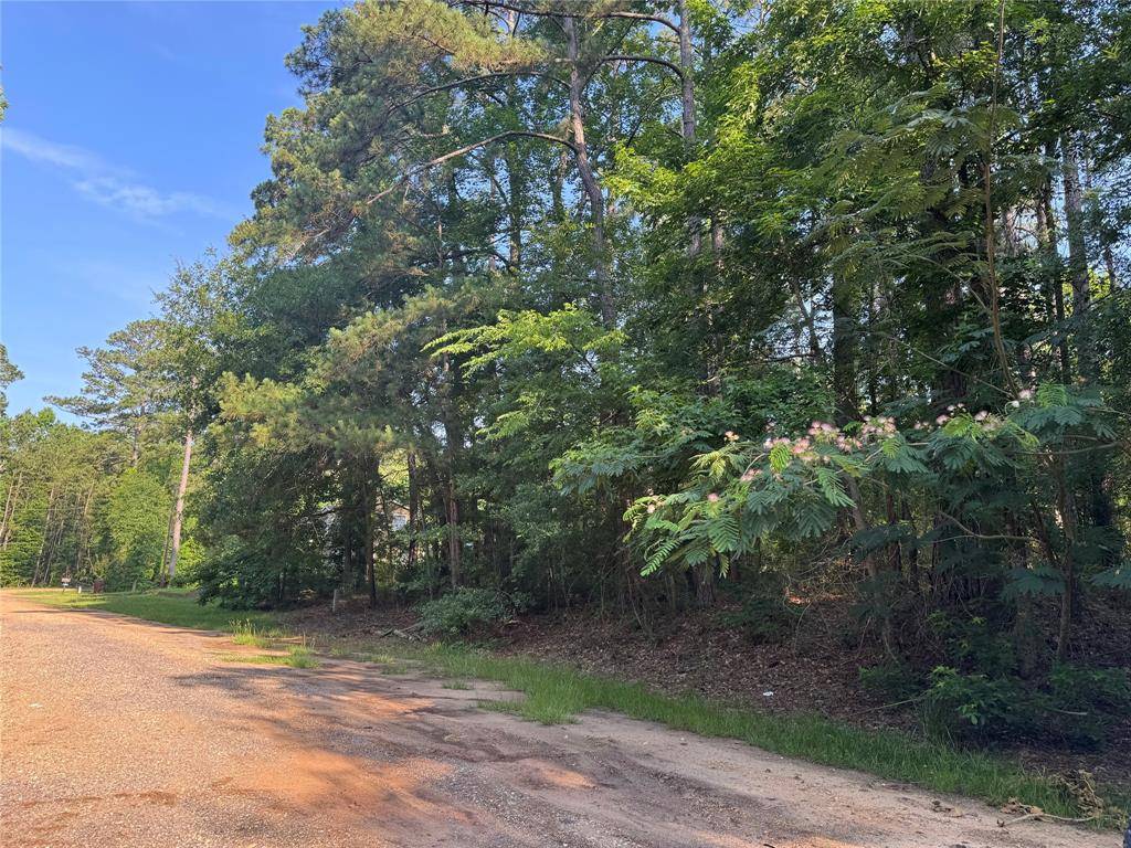 TBD Hidden CIR, Coldspring, TX 77331