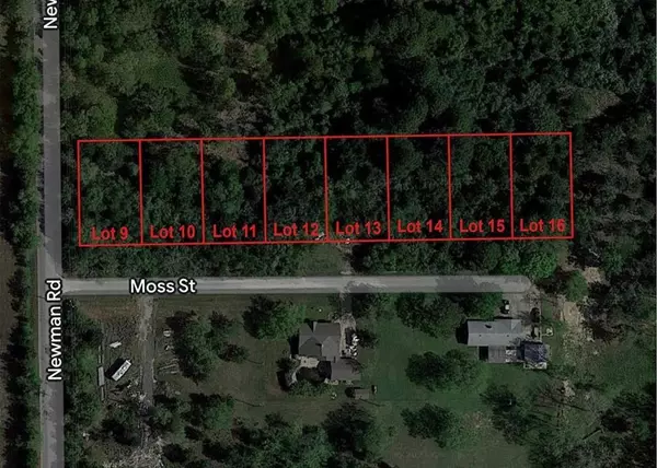 La Marque, TX 77568,0000 Moss Lot 16